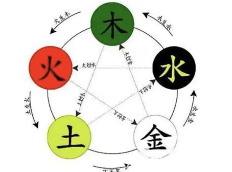 雅字五行|雅字的五行属性